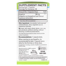 Load image into Gallery viewer, SagaPro