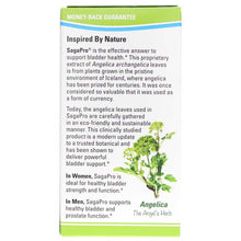 Load image into Gallery viewer, SagaPro